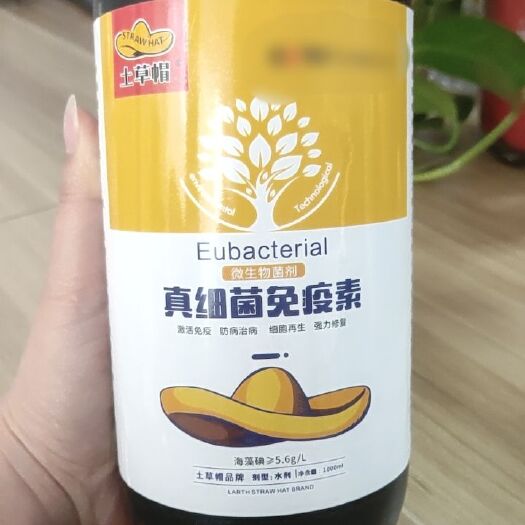 郑州叶面肥