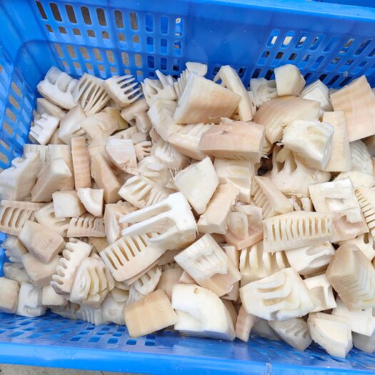 英德市新笋靓货，各种货源都有，自家工厂，源料直供