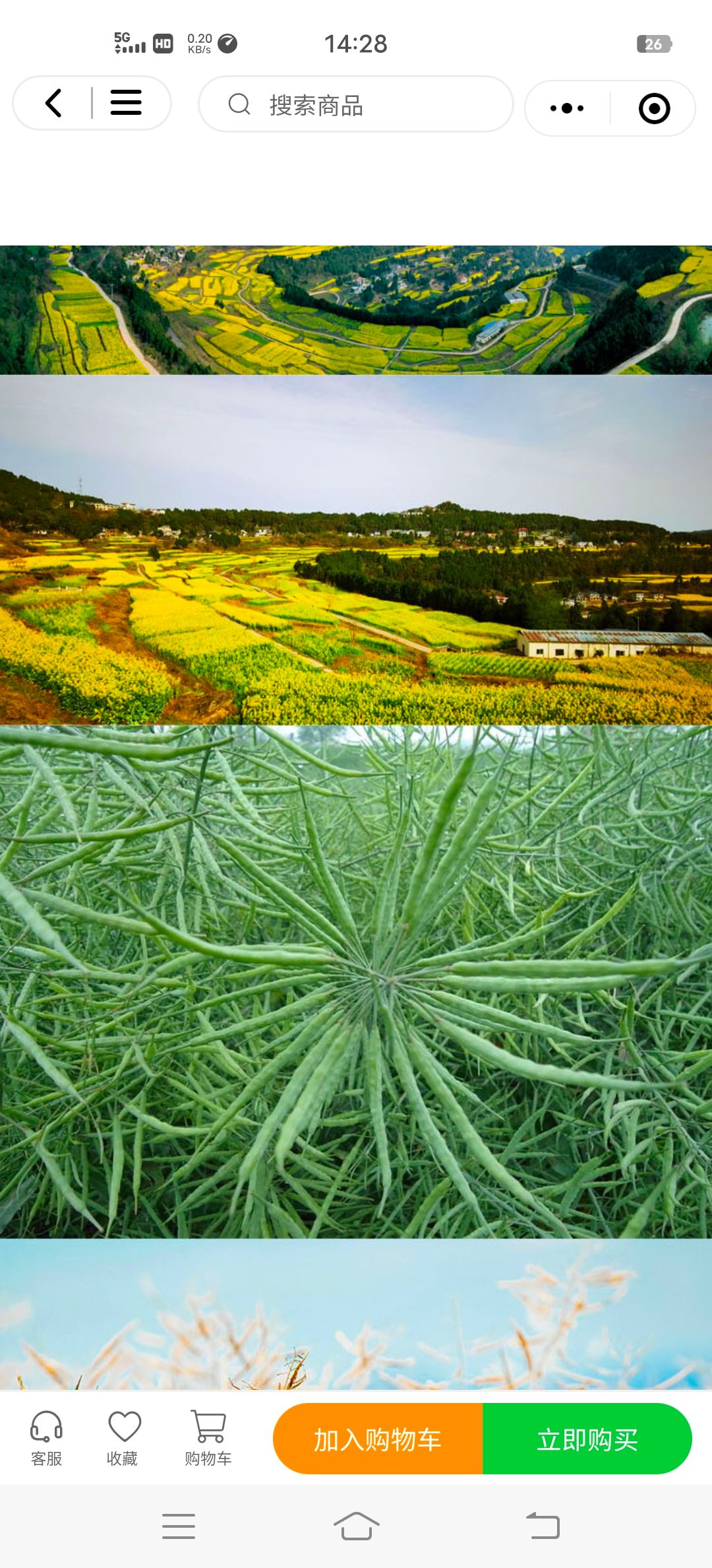 菜籽油，非转基因，天府菜油
