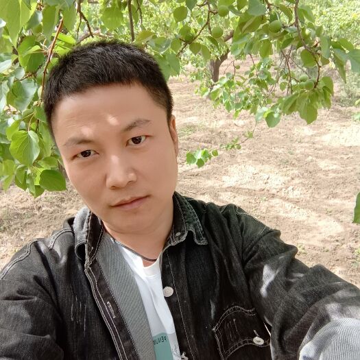 新绛县陈香甜杏