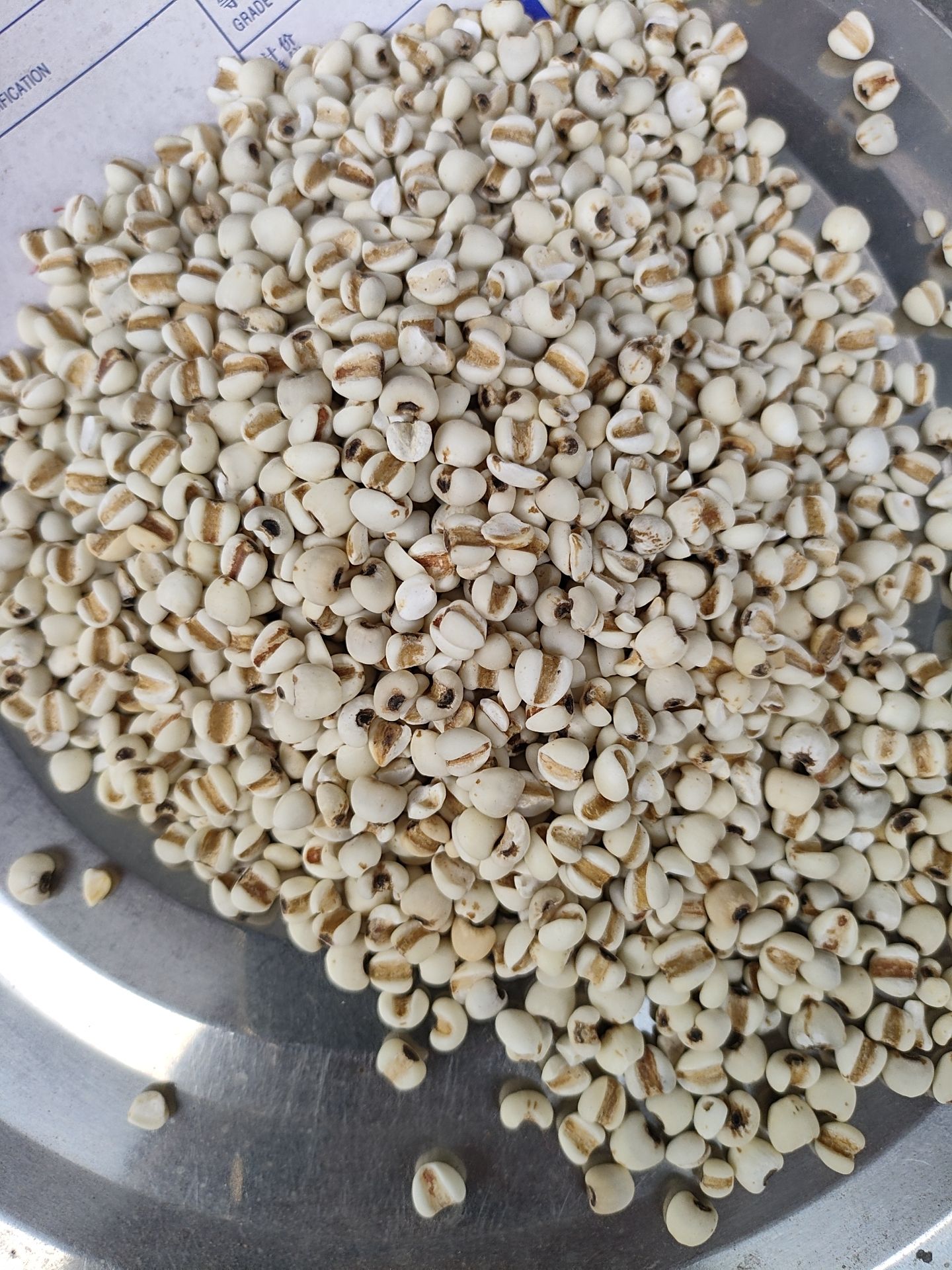 大薏仁，薏米，大苡仁，苡米