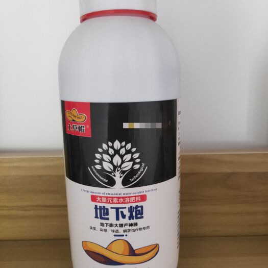 郑州块茎均匀，膨果增产，亩产可增加30-40%