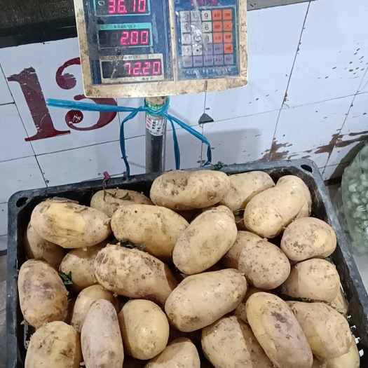 江油市黄心土豆