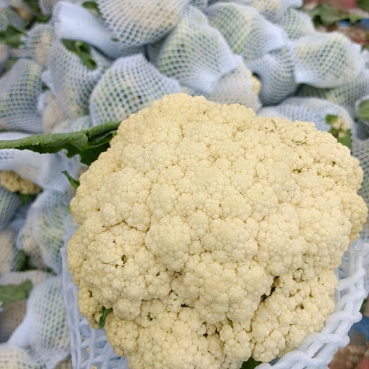 仙桃市松花菜