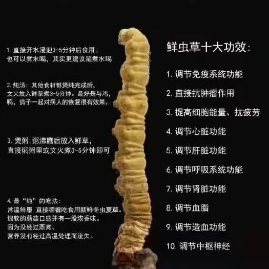 西宁虫草，