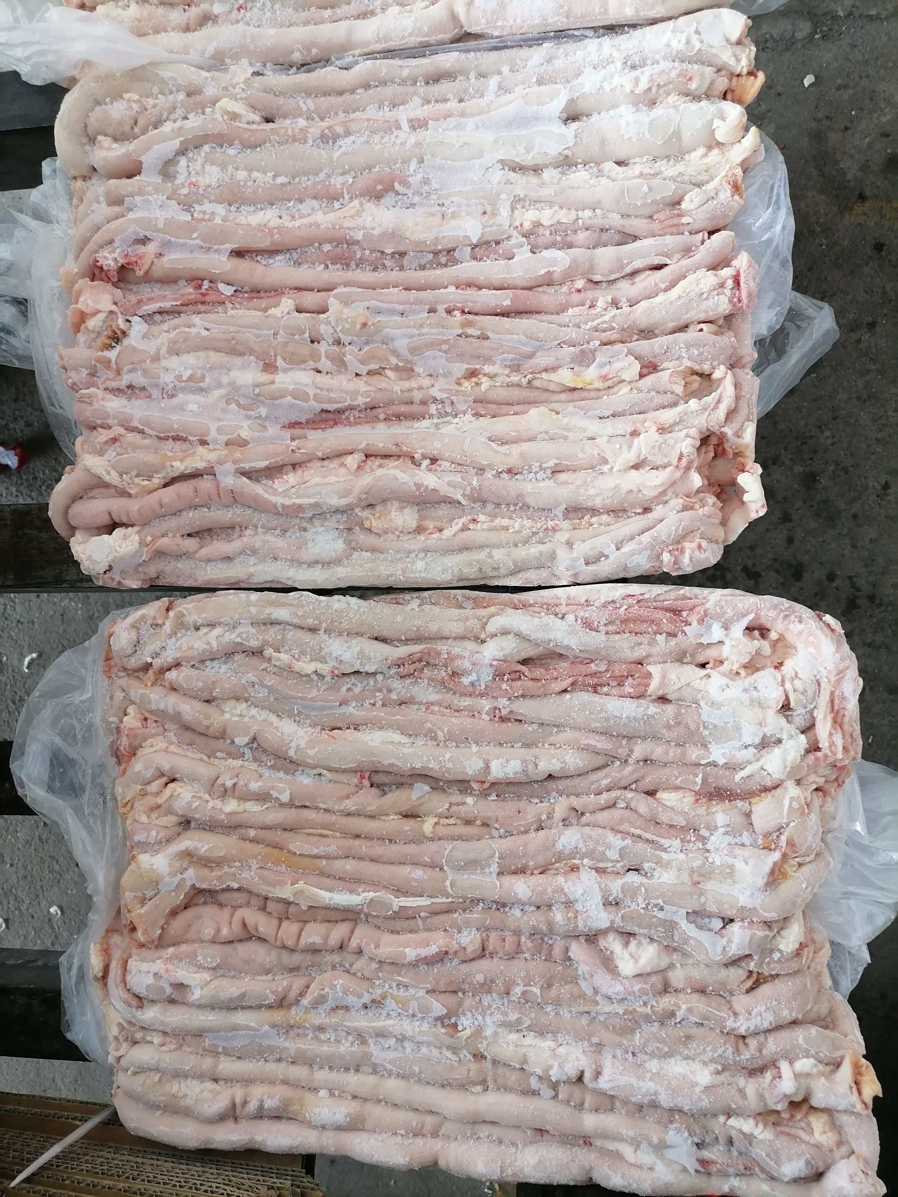 粉肠冷冻十二支肠