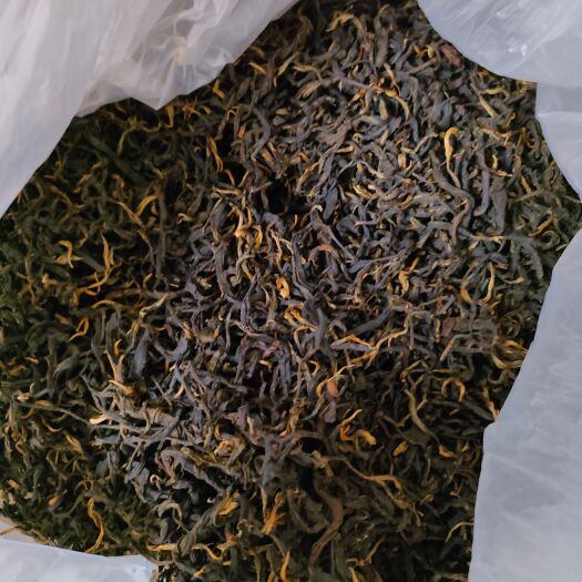 江城县普洱茶 晒红茶 红茶 2024秋茶