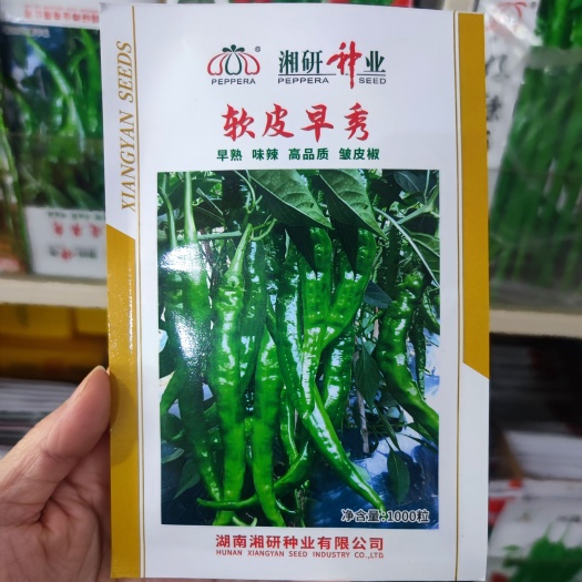 华容县新一代辣椒种子  湘研 软皮早秀 辣椒种子 皱皮辣 皮薄辣味