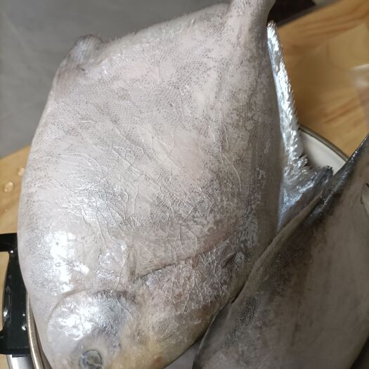 象山县半斤上昌鱼