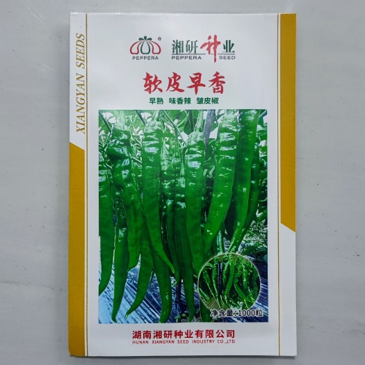 武汉新一代辣椒种子 湘研牌软皮早香辣椒种子 早熟皱皮椒味香辣 耐
