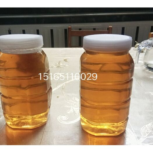 济南土蜂蜜，自产自销