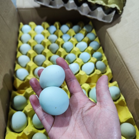 长沙县乌鸡蛋  480枚，毛重47-48