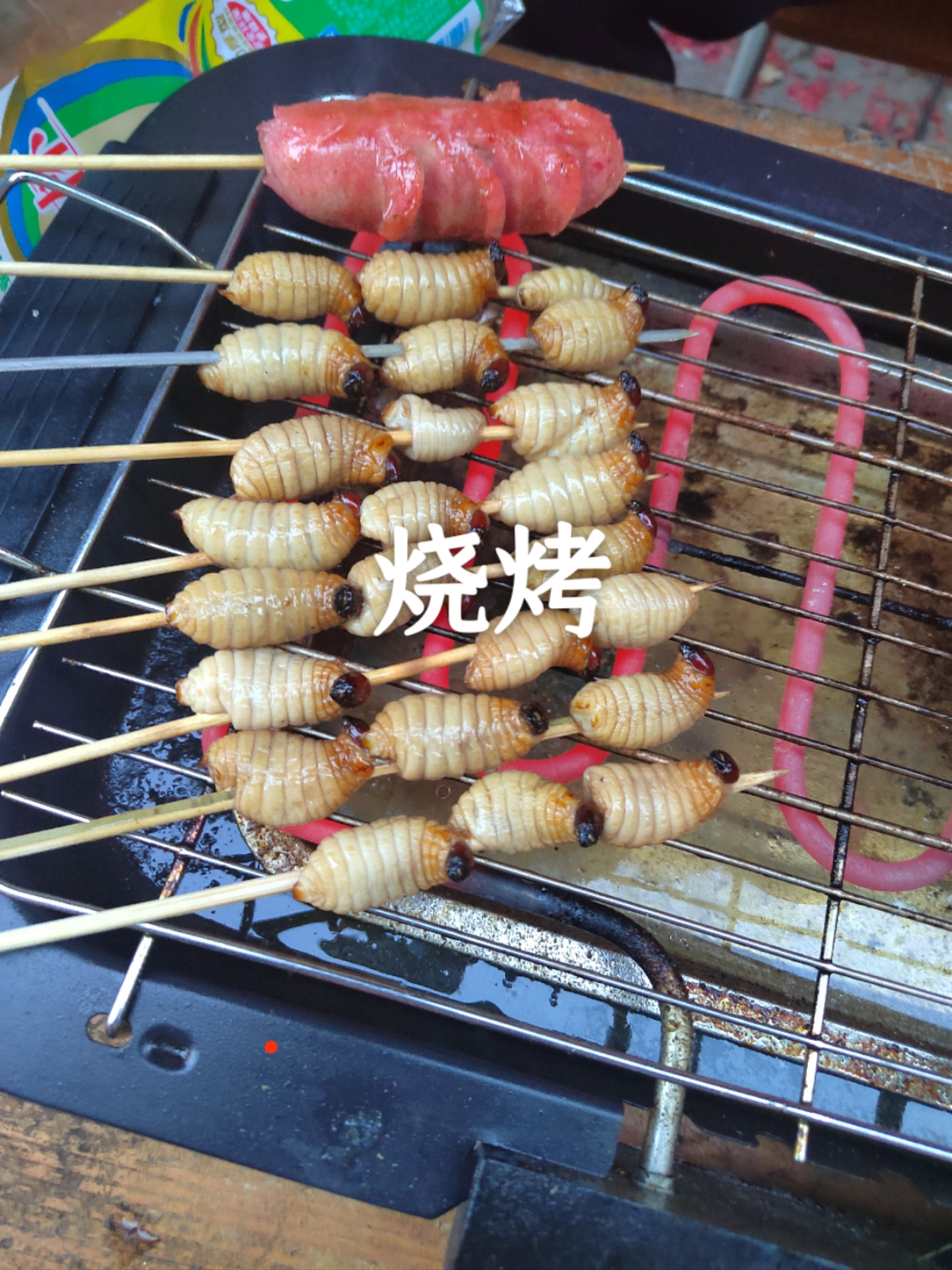 啊梅竹虫批发～