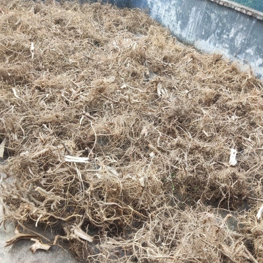 普宁市农民寻货 鲜挖牛奶树根为鲜货干品  干货牛奶根 批量联系