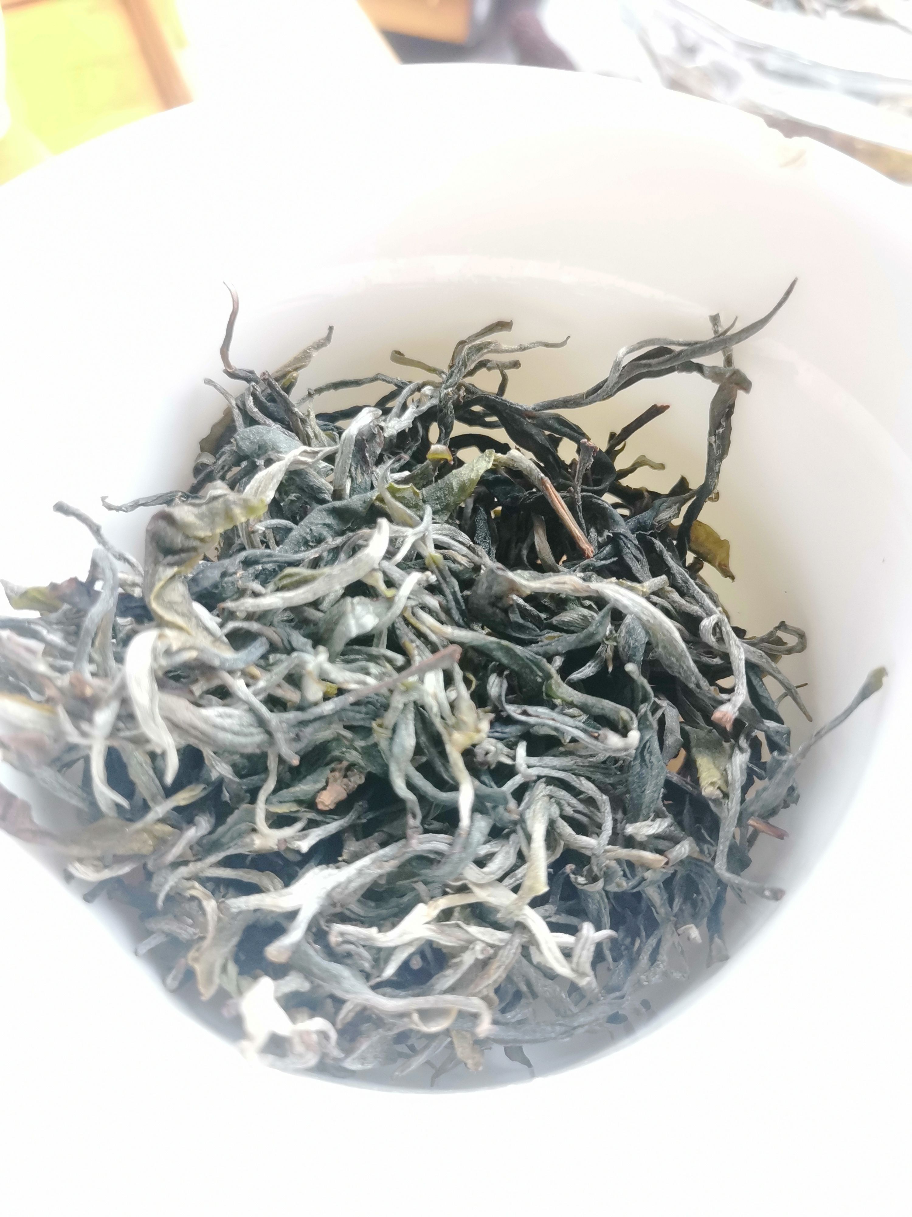 古树茶
