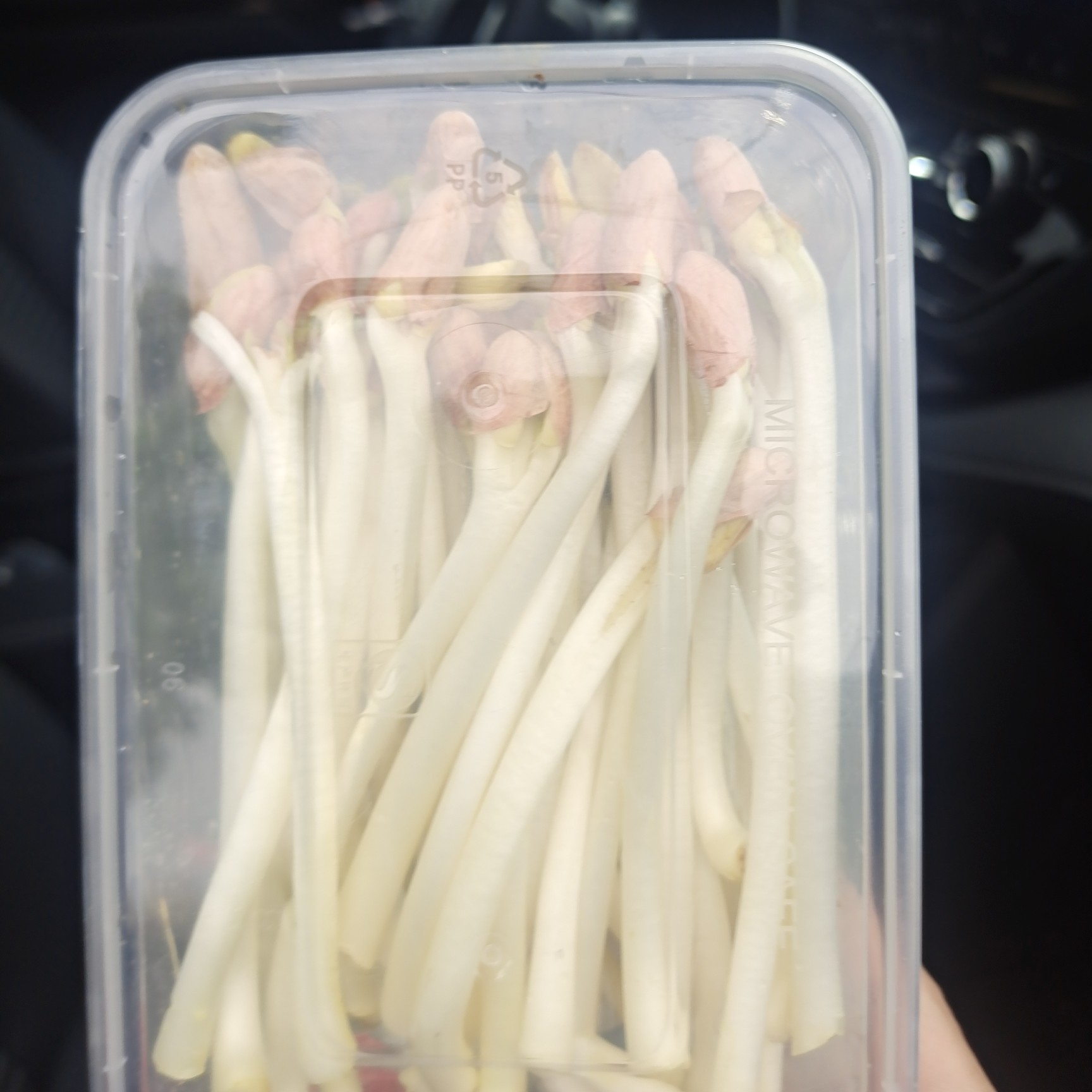 石家庄有机花生芽，健康长寿菜