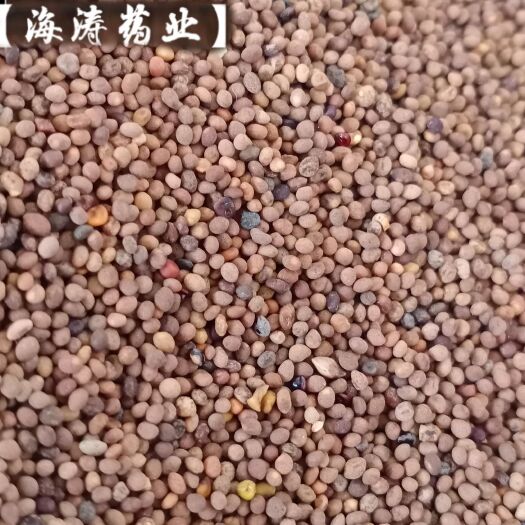 鄄城县【菟丝子】产地内蒙一手货源大货供应规格齐全量大优惠。