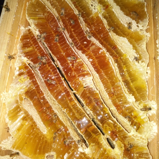 兴山县土蜂蜜