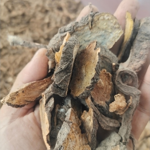 临沂何首乌中药材 山东临沂直供 切片干货 品质佳 可批发零售