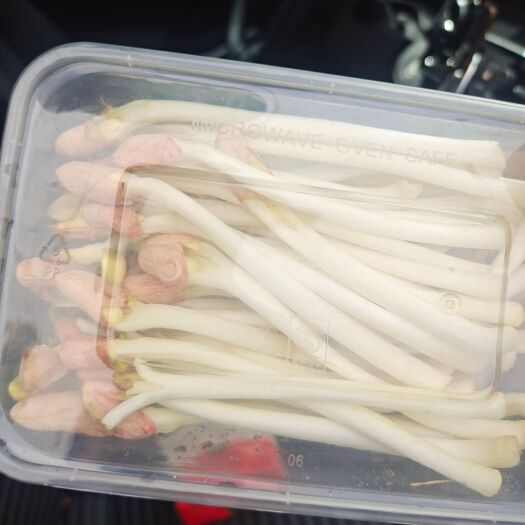 石家庄长寿菜