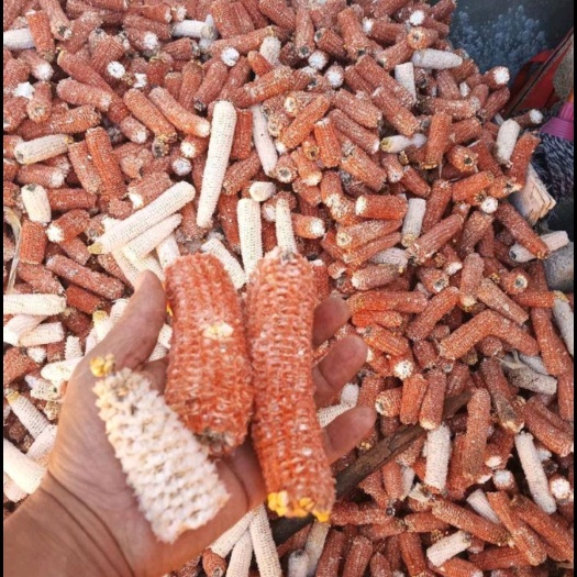 胶州市大量玉米芯出售