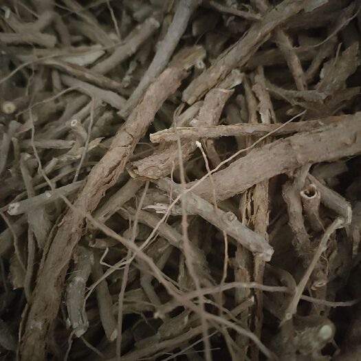 会宁县地骨皮