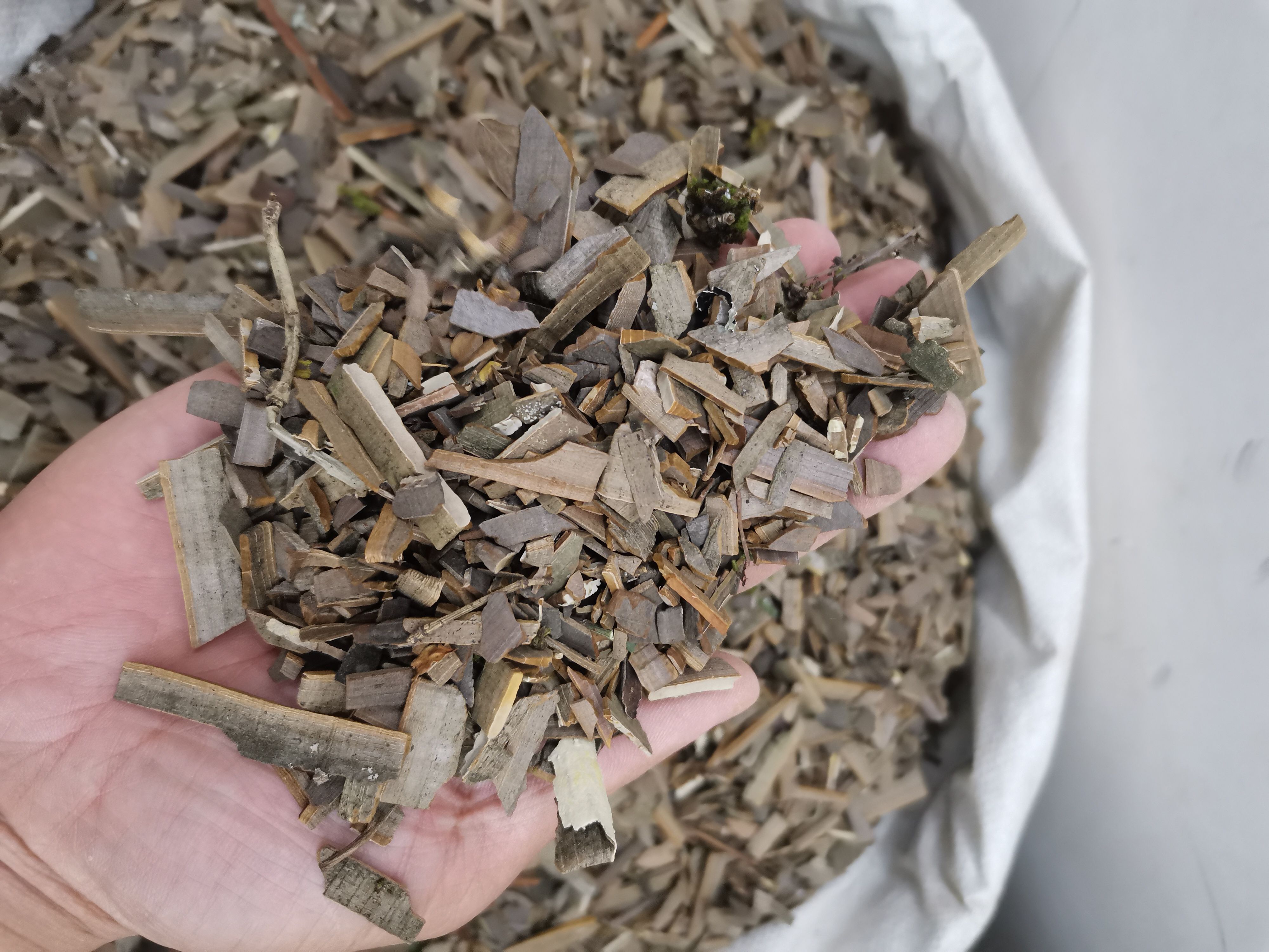 鬼箭羽 正品无硫鬼箭羽【假一赔十】