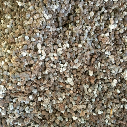 阿荣旗草原纯羊粪蛋子