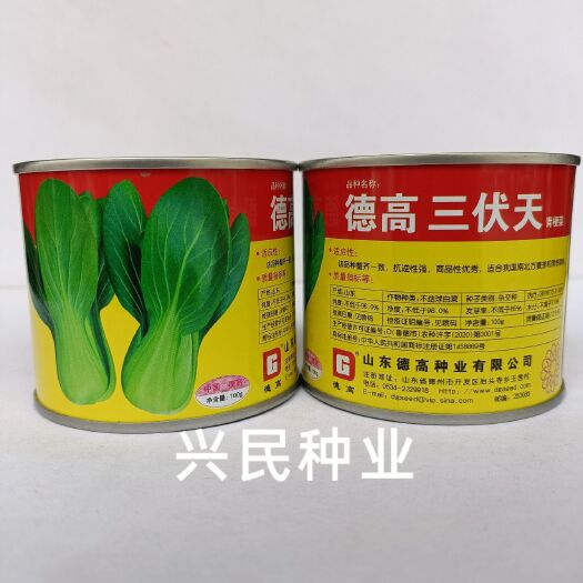 华容县德高三伏天青梗菜种籽杂交上海青耐热耐湿耐雨水速生抗病高产四季