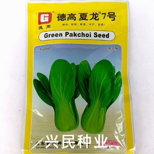 华容县德高夏龙7号青梗菜种子小油菜鸡毛菜种子 耐热耐寒种籽四季栽培