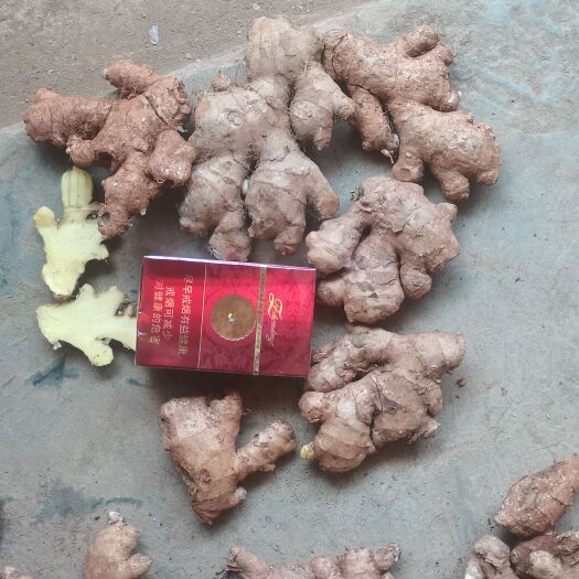 象州县老姜  黄心  蓝心