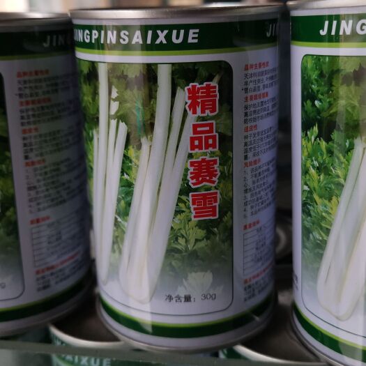 成都白实芹种子