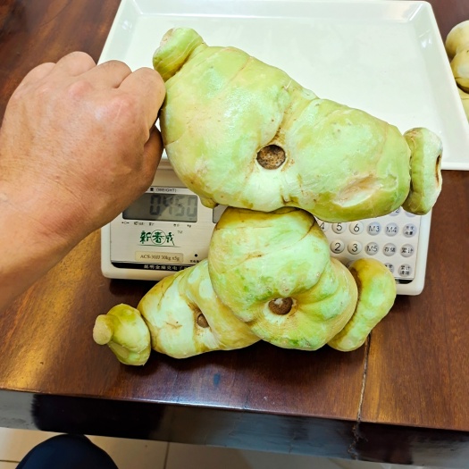 马关县滇黄精，每一年新货2000吨供应。