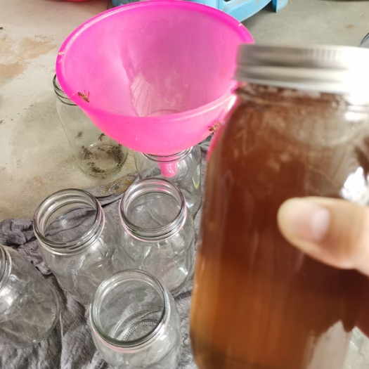 惠州鲜龙眼荔枝蜜，天然
