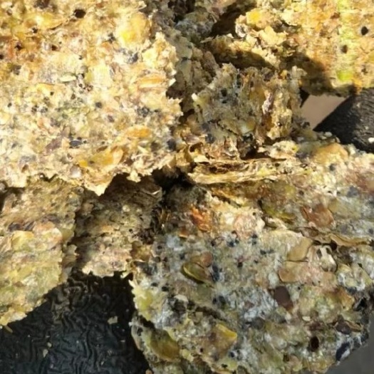 滦州市熟豆饼，好消化，好吸收