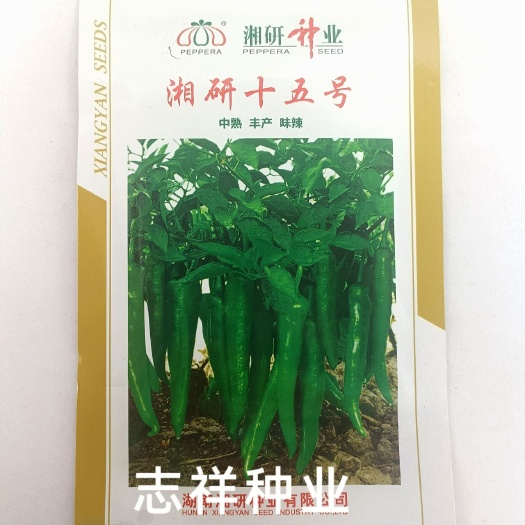 华容县湘研十五号长牛角辣椒籽种子 中熟 味辣抗病 适应性广