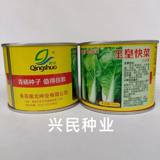 华容县玉皇快菜F1小白菜 黄白 快绿白 罐装白菜蔬菜种子100克