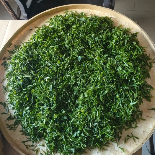 苏州洞庭东山碧螺炒青