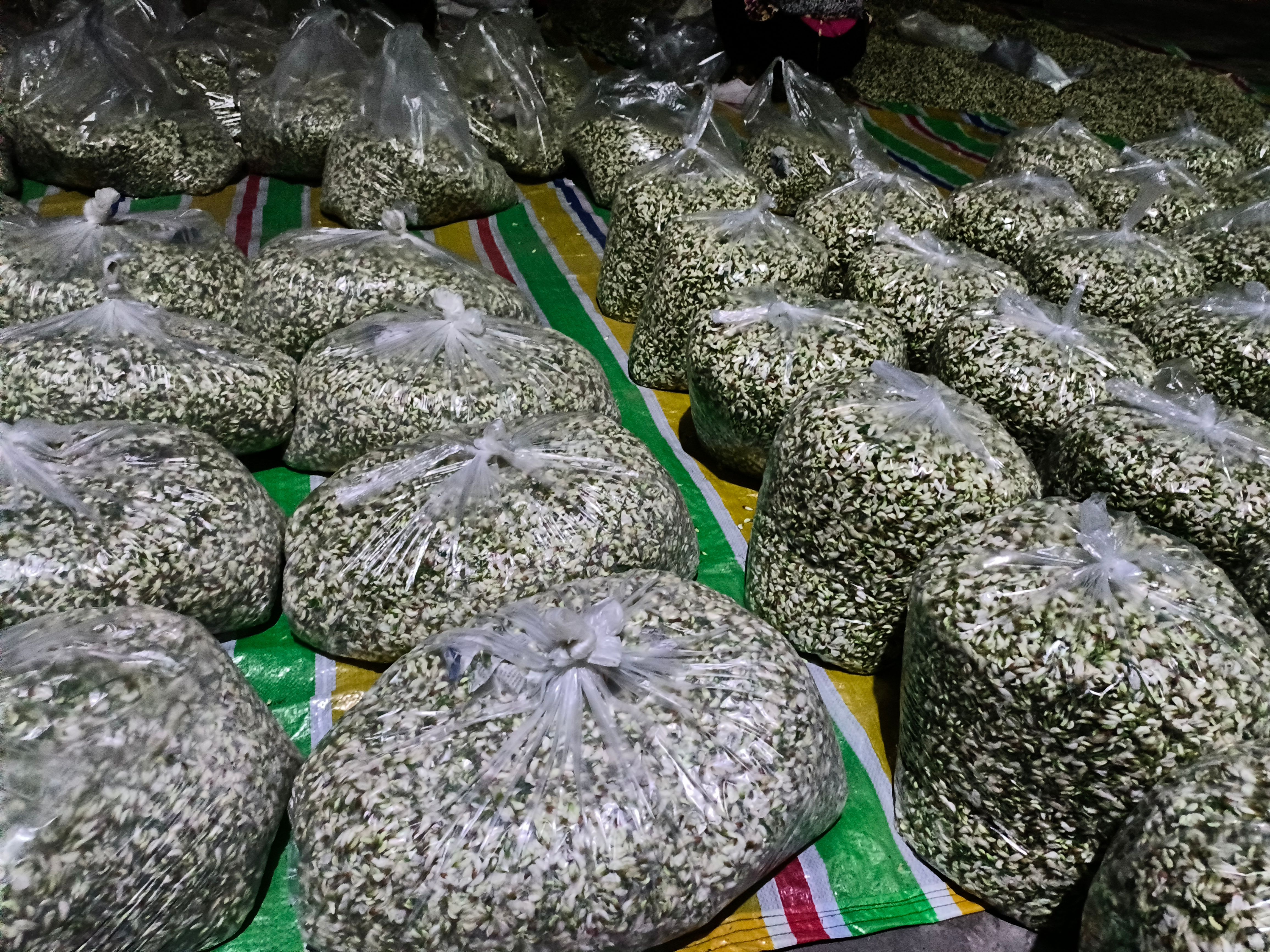 洋槐花四川精品洋槐花基地直发提供场地辅料人工资支持一件代发