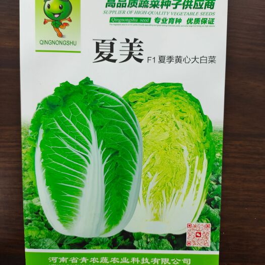 夏季耐热白菜种子  抗病能力强  抗热能力强 10克