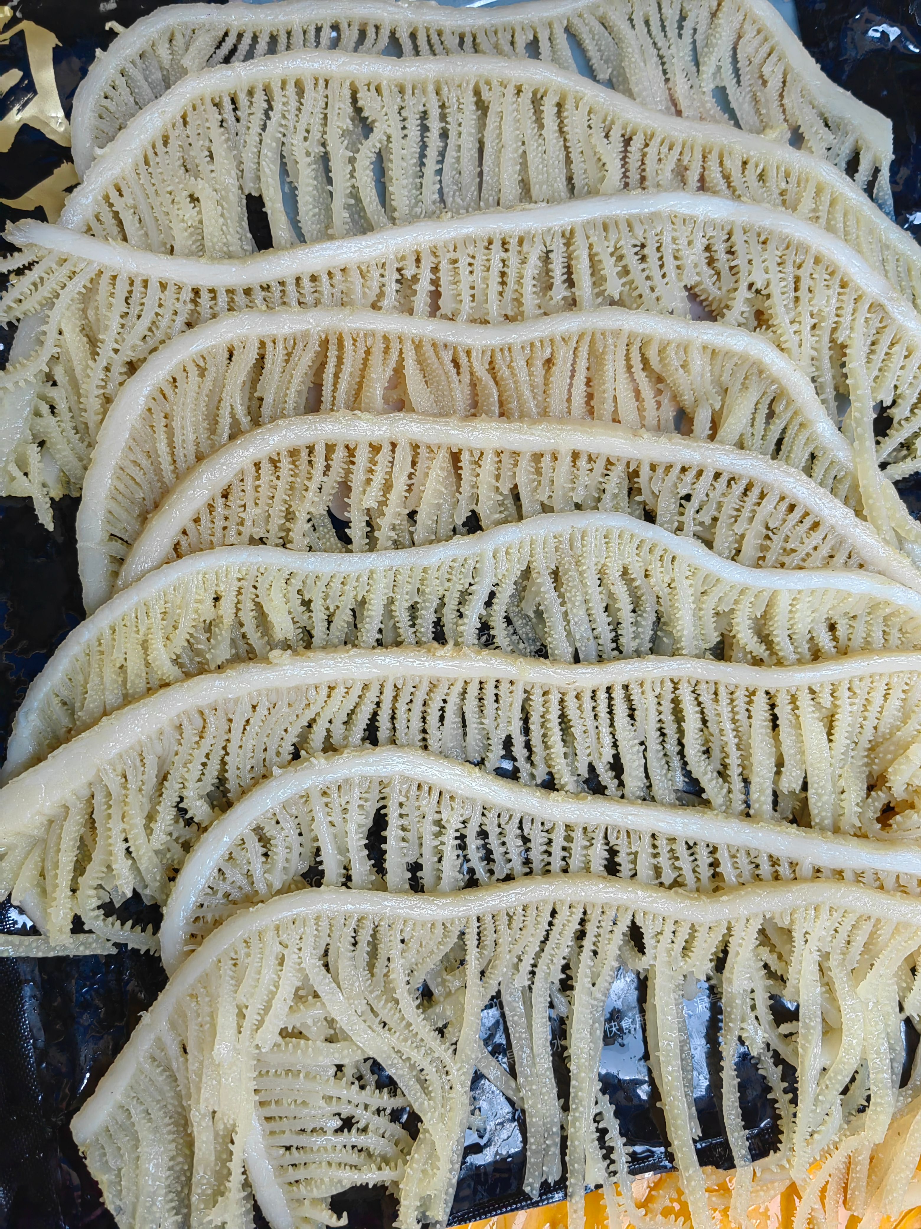 白煮千层肚白毛肚四川火锅食材配菜品新鲜牛百叶
