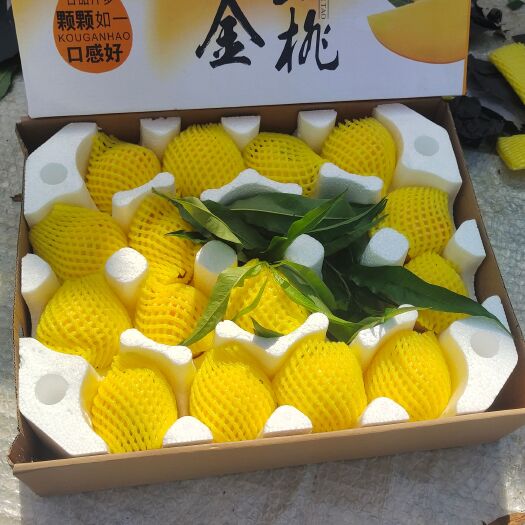 蒙阴县一件代发山东蒙阴蜜桃油桃蟠桃黄毛桃
