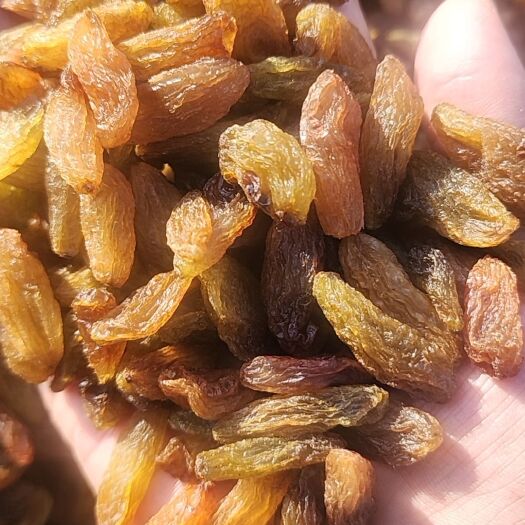 吐鲁番香妃葡萄干
