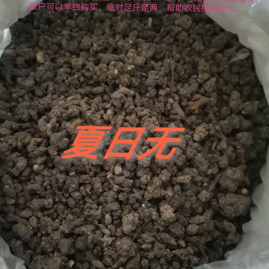 夏天无