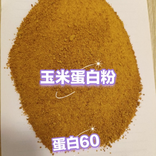 石家庄玉米蛋白粉