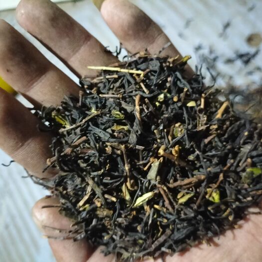 松阳县红茶茶头