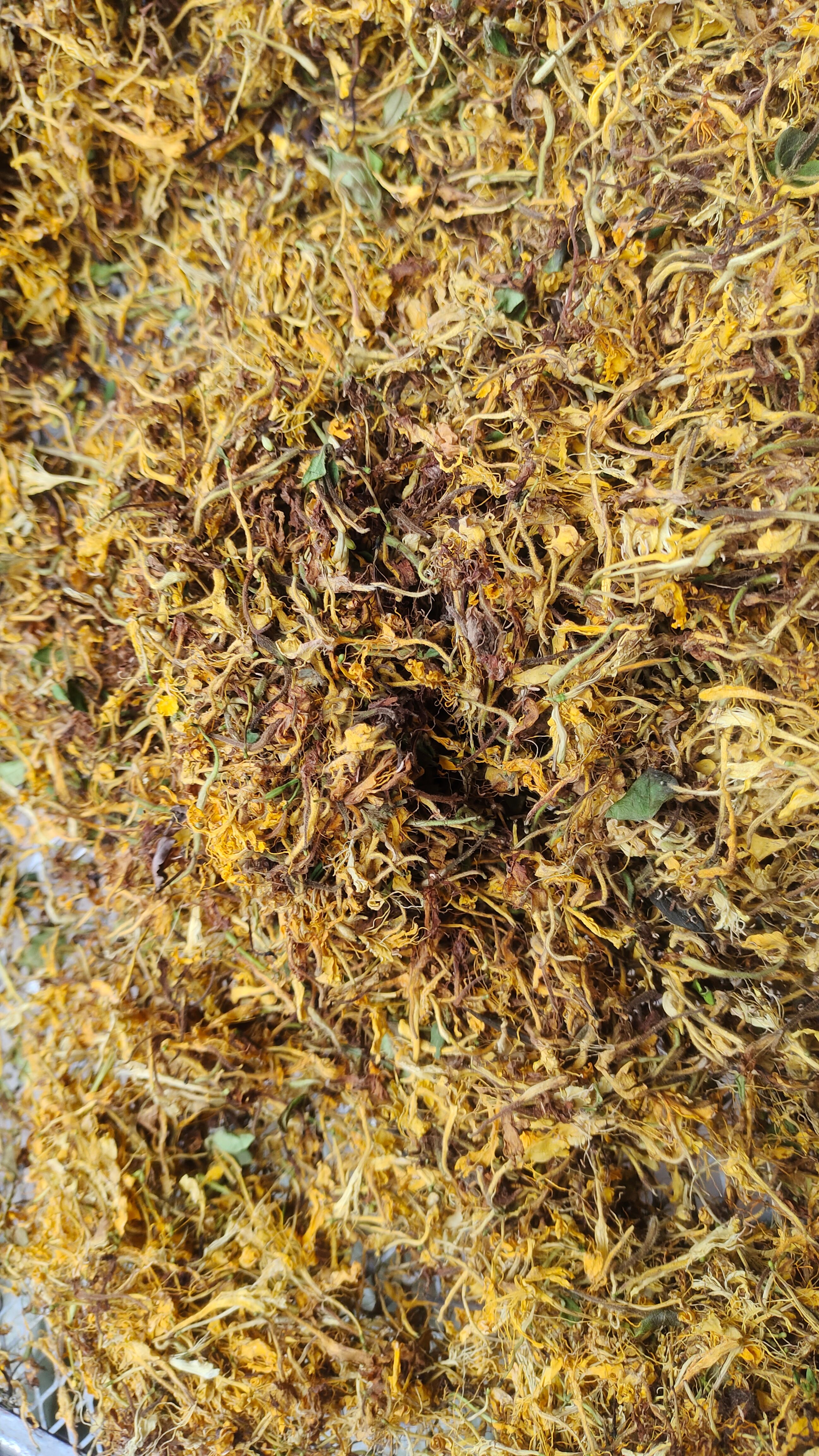 金银花  贵州大山里的毛银银，天然晒干炕干，无硫，可配野菊花