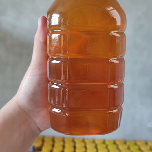 南充［助农产品］天然槐花蜜