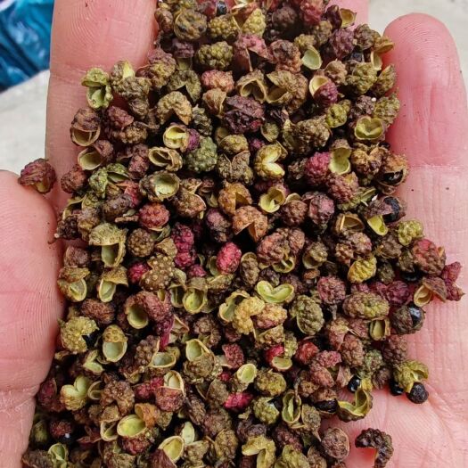 昆明金阳青花椒、转红椒