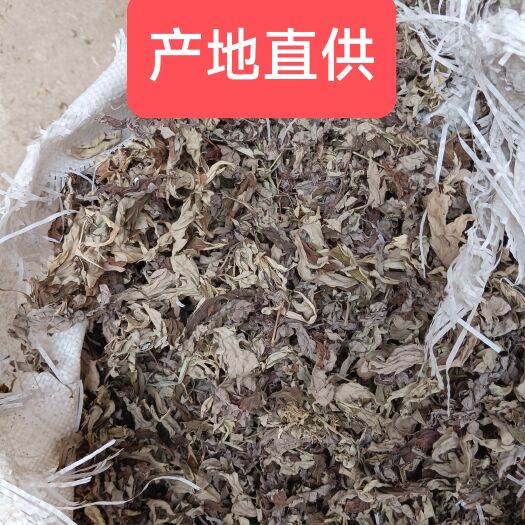 蕲春县蕲艾干艾叶